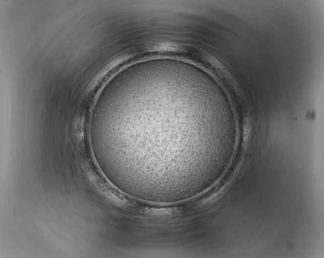 X0000113561017200910021550