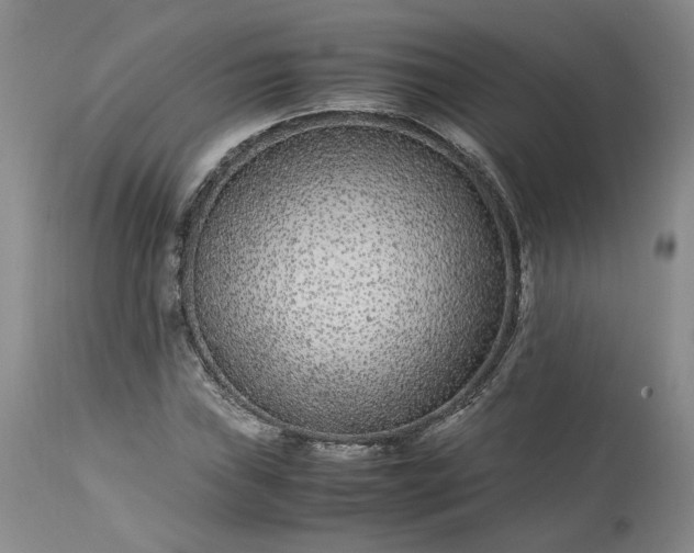 X0000113561019200910021550