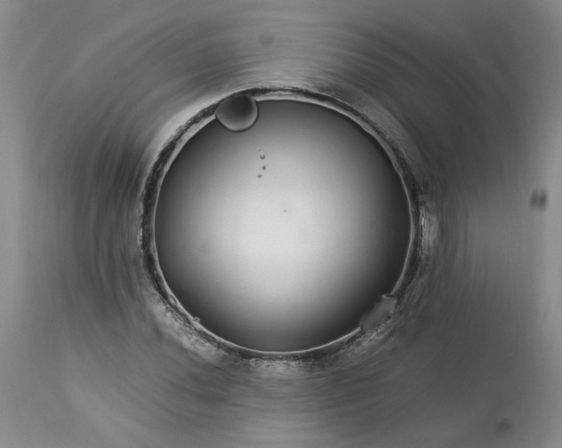 X0000113561020200910021550