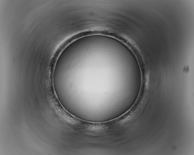 X0000113561021200910021550