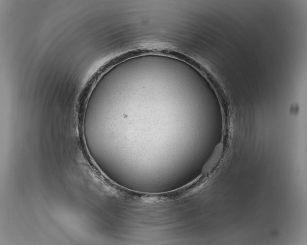 X0000113561022200910021550