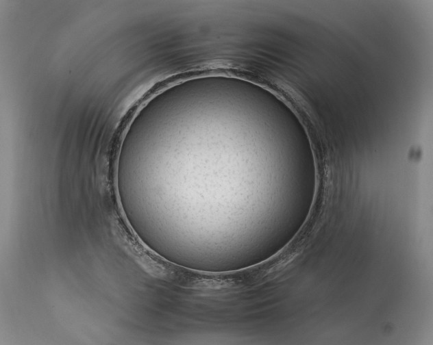 X0000113561023200910021550