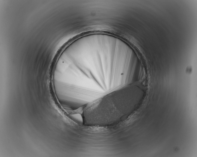 X0000113561024200910021550