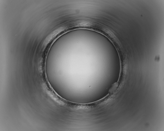 X0000113561026200910021550