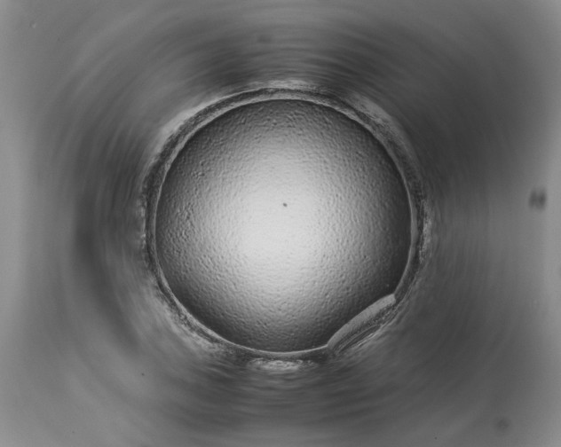 X0000113561027200910021550