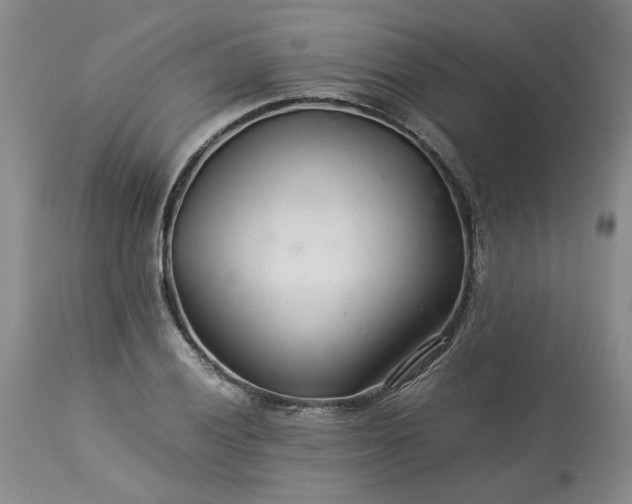 X0000113561028200910021550