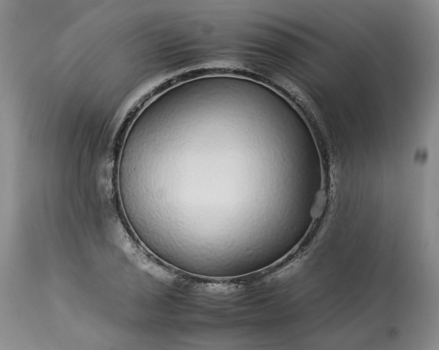 X0000113561029200910021550