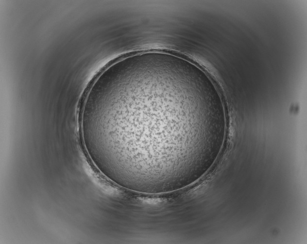 X0000113561031200910021550