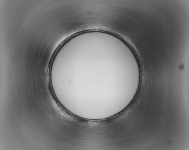 X0000113561032200910021550