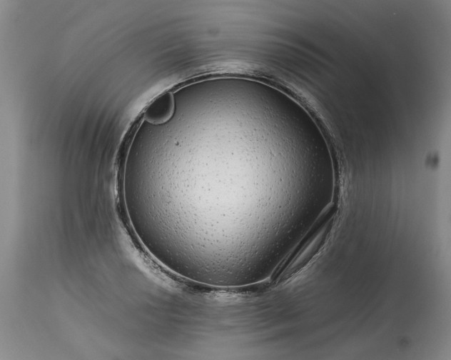 X0000113561034200910021550