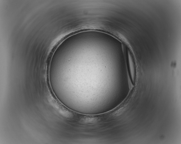 X0000113561035200910021550