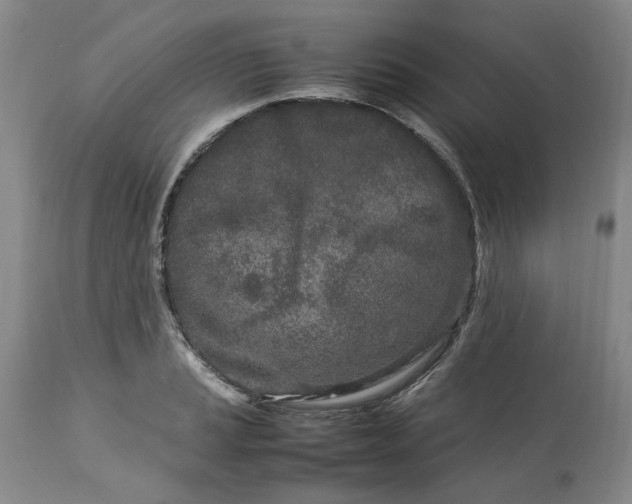 X0000113561037200910021550