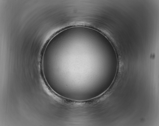 X0000113561038200910021550