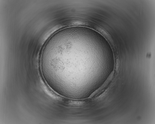 X0000113561039200910021550