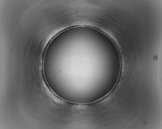 X0000113561040200910021550