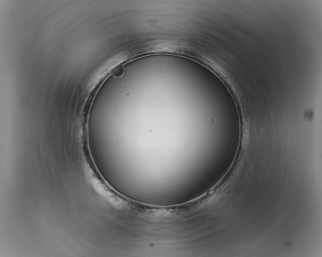 X0000113561042200910021550