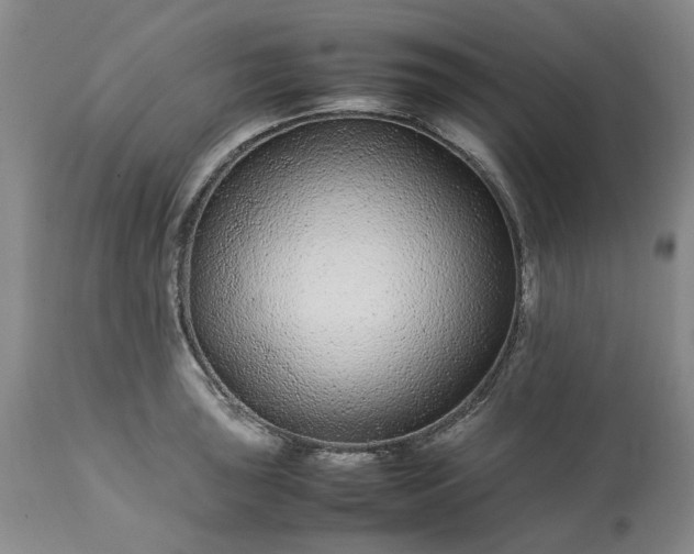 X0000113561043200910021550