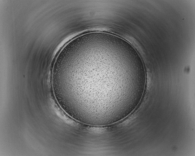 X0000113561044200910021550