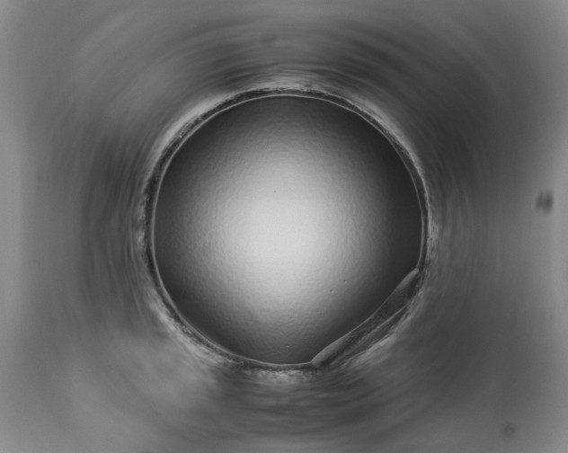 X0000113561045200910021550
