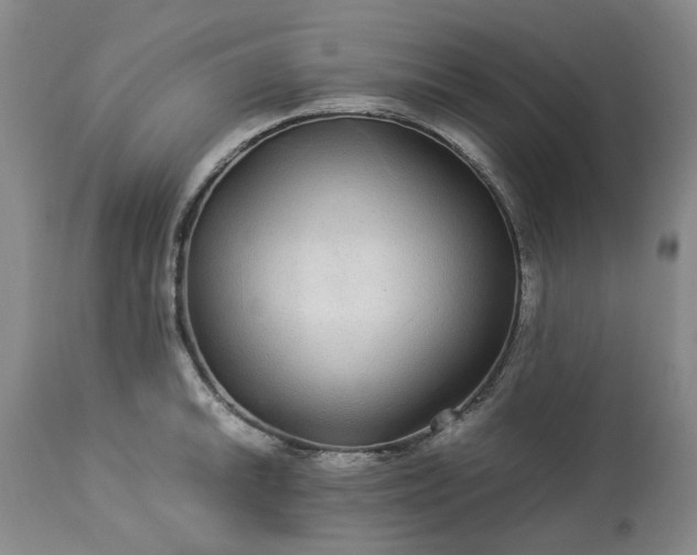 X0000113561046200910021550