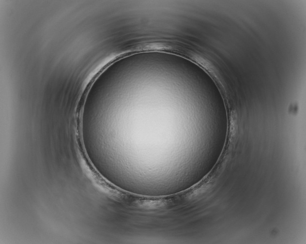 X0000113561047200910021550