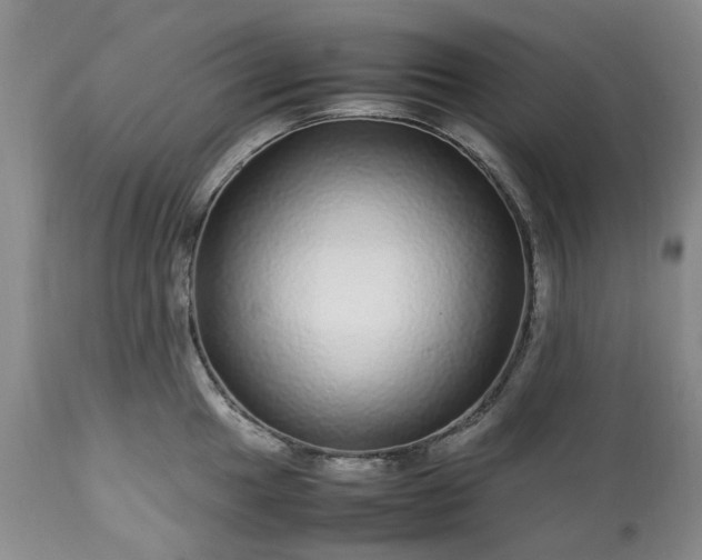 X0000113561049200910021550