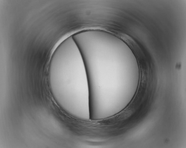 X0000113561052200910021550