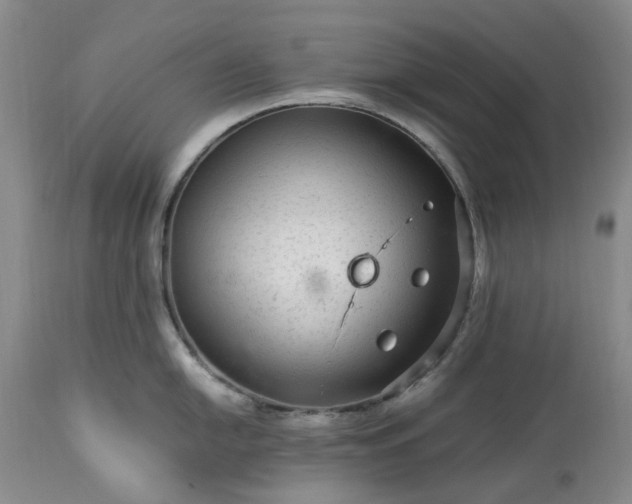 X0000113561054200910021550