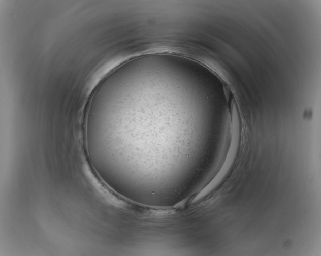 X0000113561055200910021550