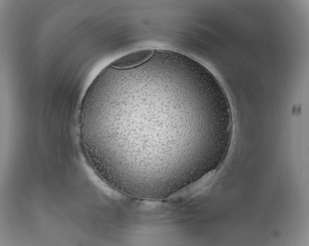 X0000113561056200910021550