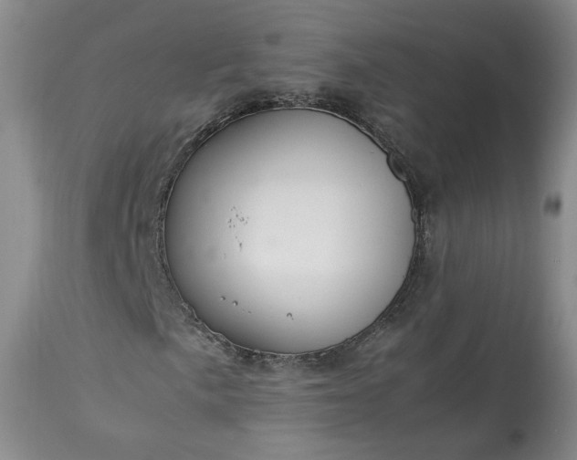 X0000113561057200910021550