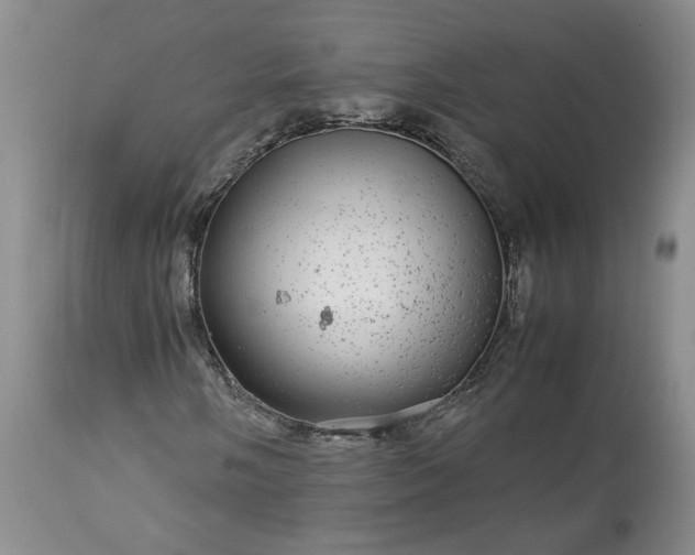 X0000113561058200910021550