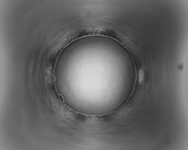 X0000113561059200910021550