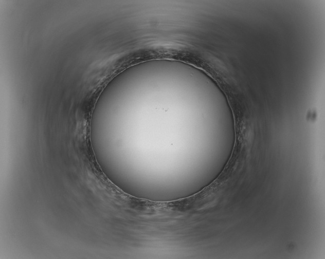 X0000113561061200910021550