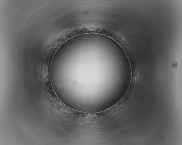 X0000113561062200910021550