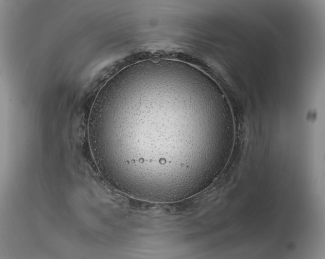 X0000113561063200910021550