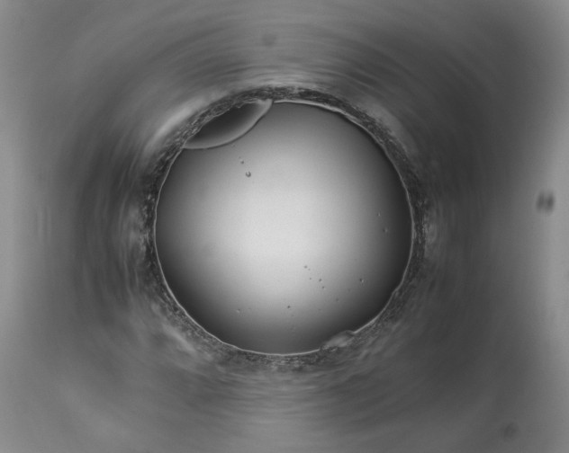 X0000113561064200910021550