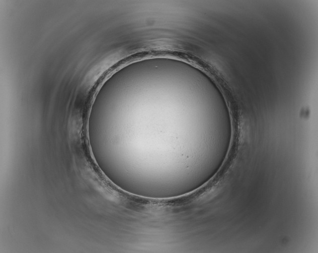 X0000113561065200910021550