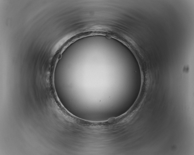 X0000113561066200910021549