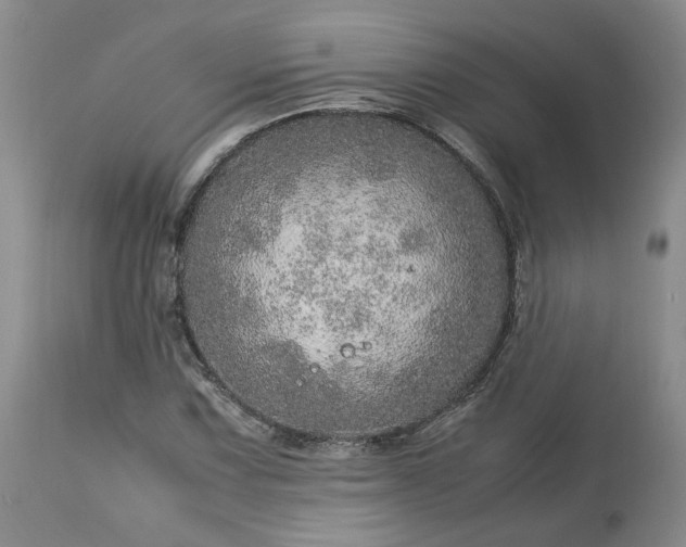 X0000113561067200910021549