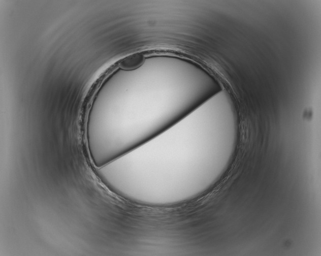 X0000113561068200910021549