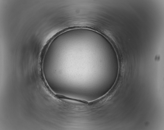 X0000113561071200910021549