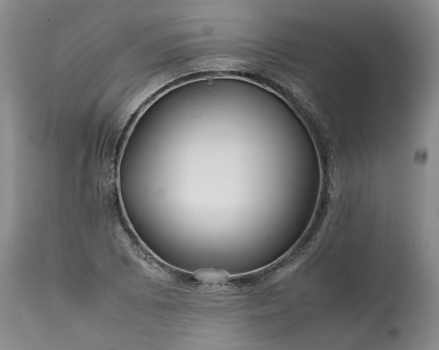 X0000113561073200910021549