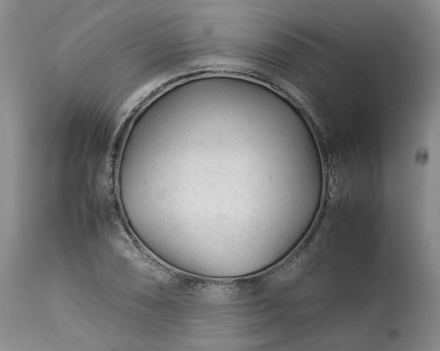 X0000113561074200910021549