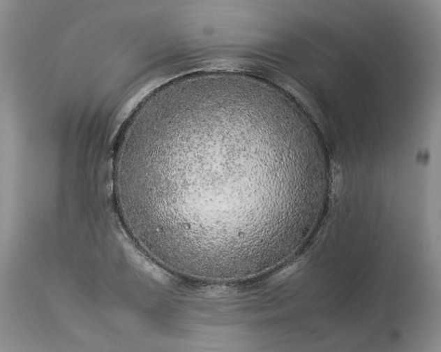 X0000113561075200910021549