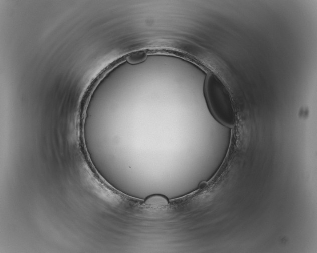 X0000113561076200910021549