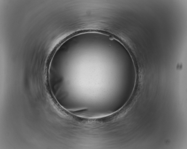 X0000113561077200910021549
