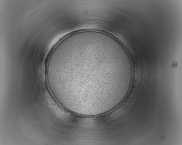 X0000113561078200910021549