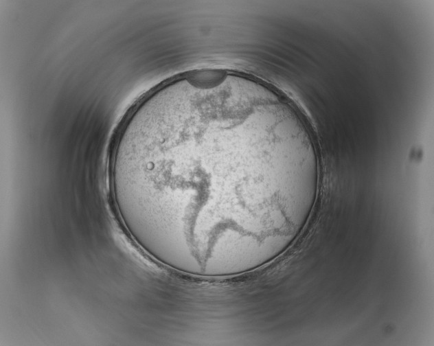 X0000113561080200910021549