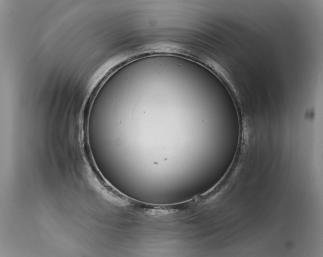 X0000113561082200910021549